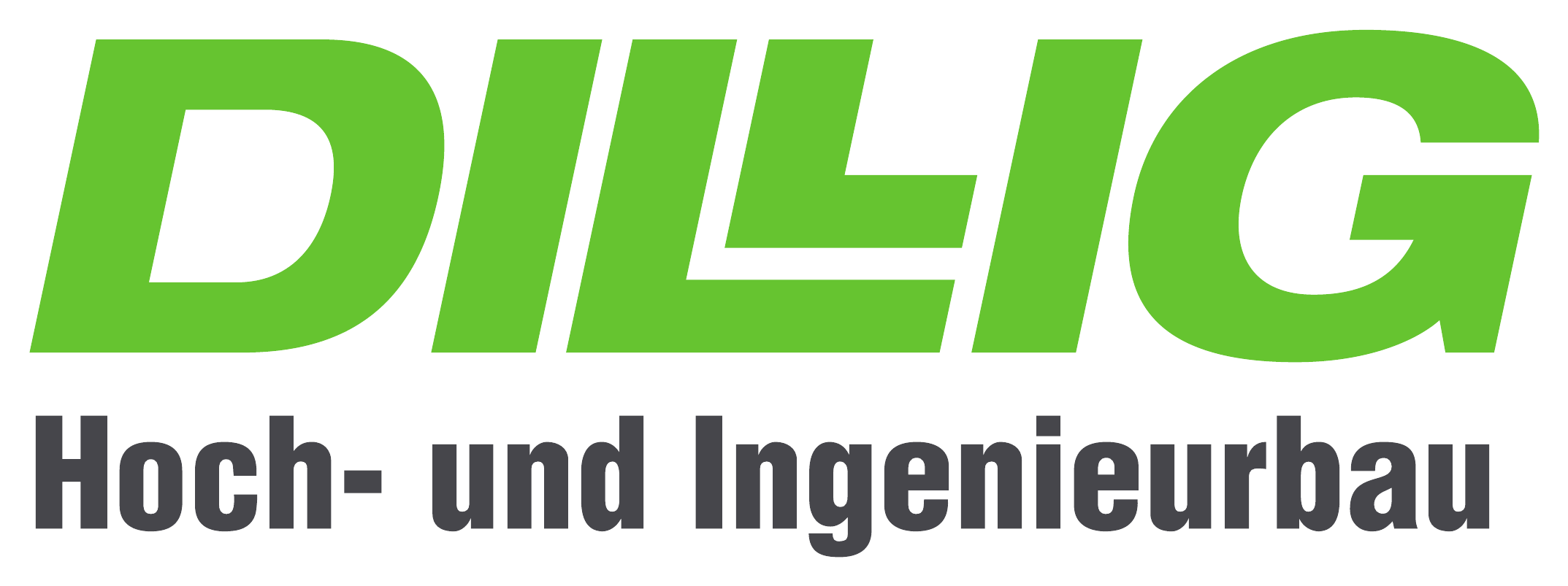 Herbert Dillig GmbH & Co. KG Logo